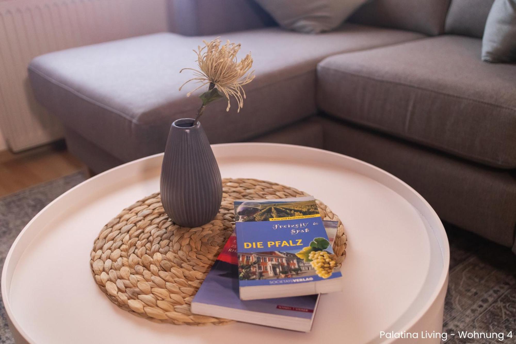 Palatina Living Apartamento Fischbach bei Dahn Exterior foto