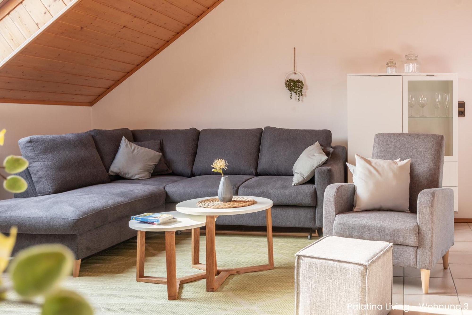 Palatina Living Apartamento Fischbach bei Dahn Exterior foto